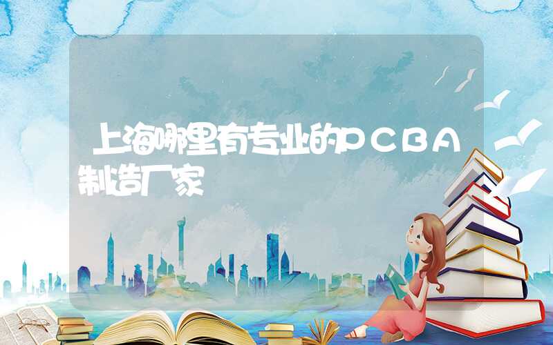 上海哪里有专业的PCBA制造厂家