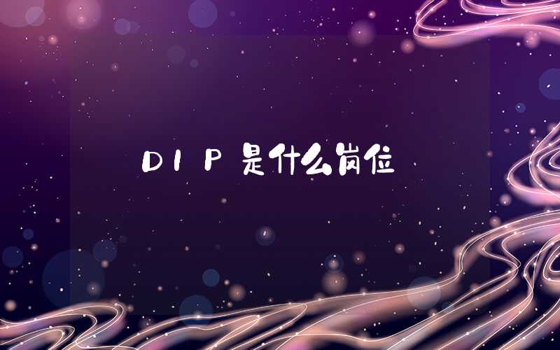 DIP是什么岗位